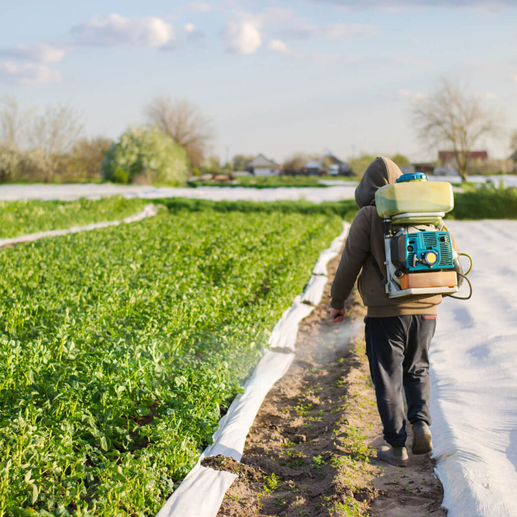 male farmer with a mist sprayer processes potato b a2zkw8x.jpg